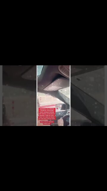 CANCEL #HOLLYWOOD #HOLLYWOODSIGN #BLOOD #ART #INSTALLATION