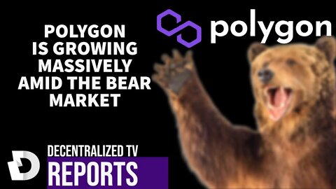 DCTV News: POLYGON IS GROWING MASSIVELY AMID THE BEAR MARKET