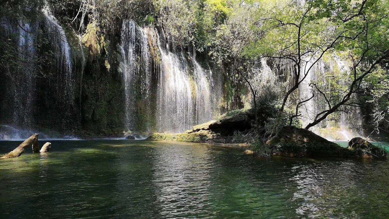 Calming Sounds of Birds and Frogs with Water Flowing in the Background - Perfect for Relaxing