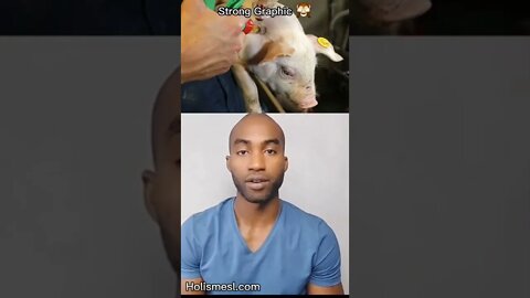 SUPER BACTERIA FOUND IN PORK😲