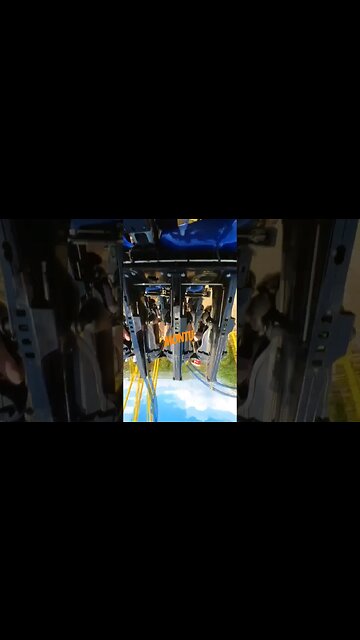 Is Montu The Best Busch Gardens Tampa Bay Coaster?