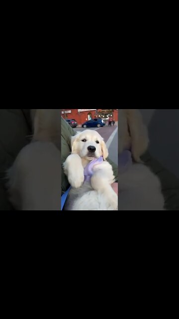 How to Pamper....#short