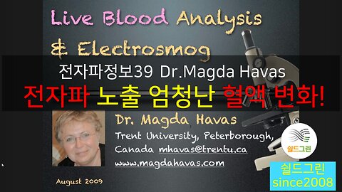 전자파정보39-전자파로 급격한 적혈구 뭉침,연전현상,혈액순환장애 우려-Dr.Magda Havas Live blood test