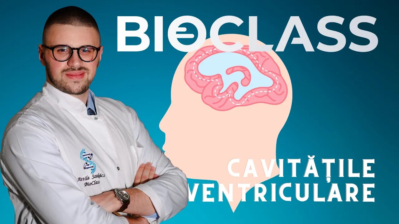 Cavitățile Ventriculare