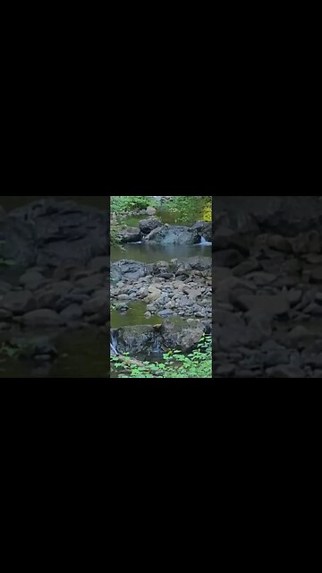 can you get any more relaxing than this? #relaxing #shorts