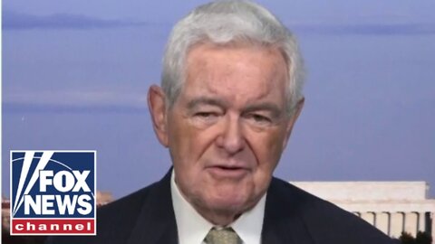 Gingrich slams activists calling on people to deflate SUV tires to fight climate change