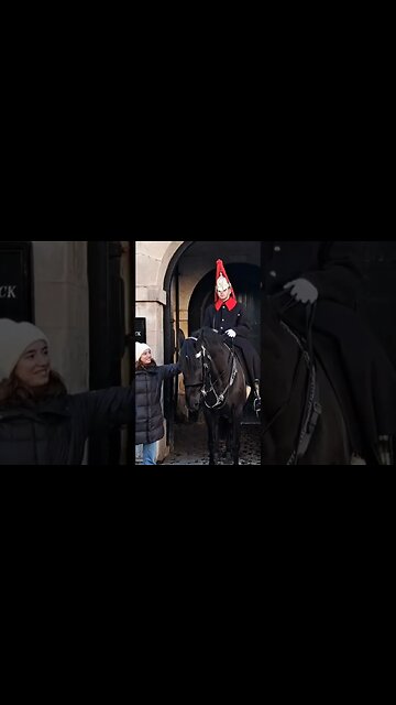 She puts her hand under the strap on the sadle the kings guard Shouts get back #thekingsguard