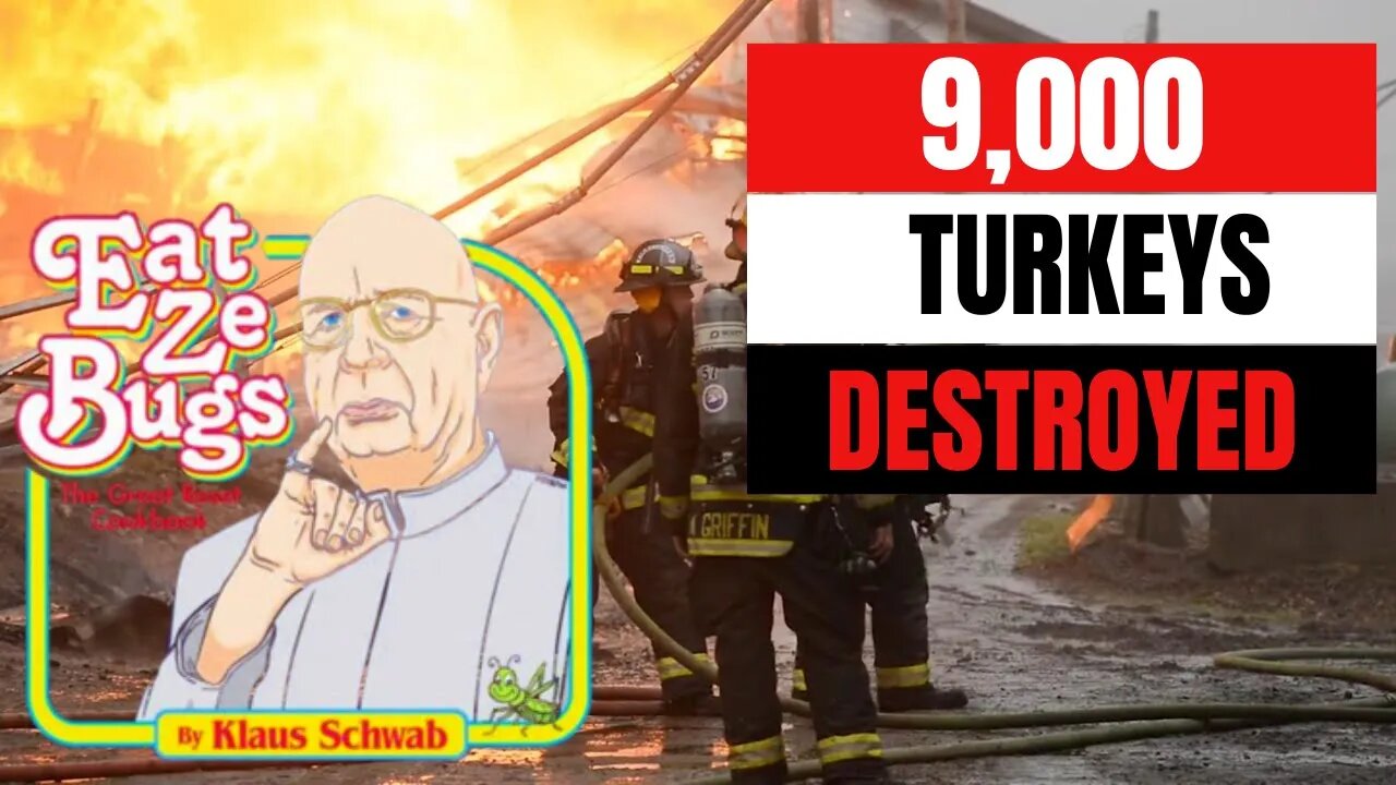 NEWS UPDATE: 9,000 Turkeys DESTROYED by Fire in Nova Scotia!