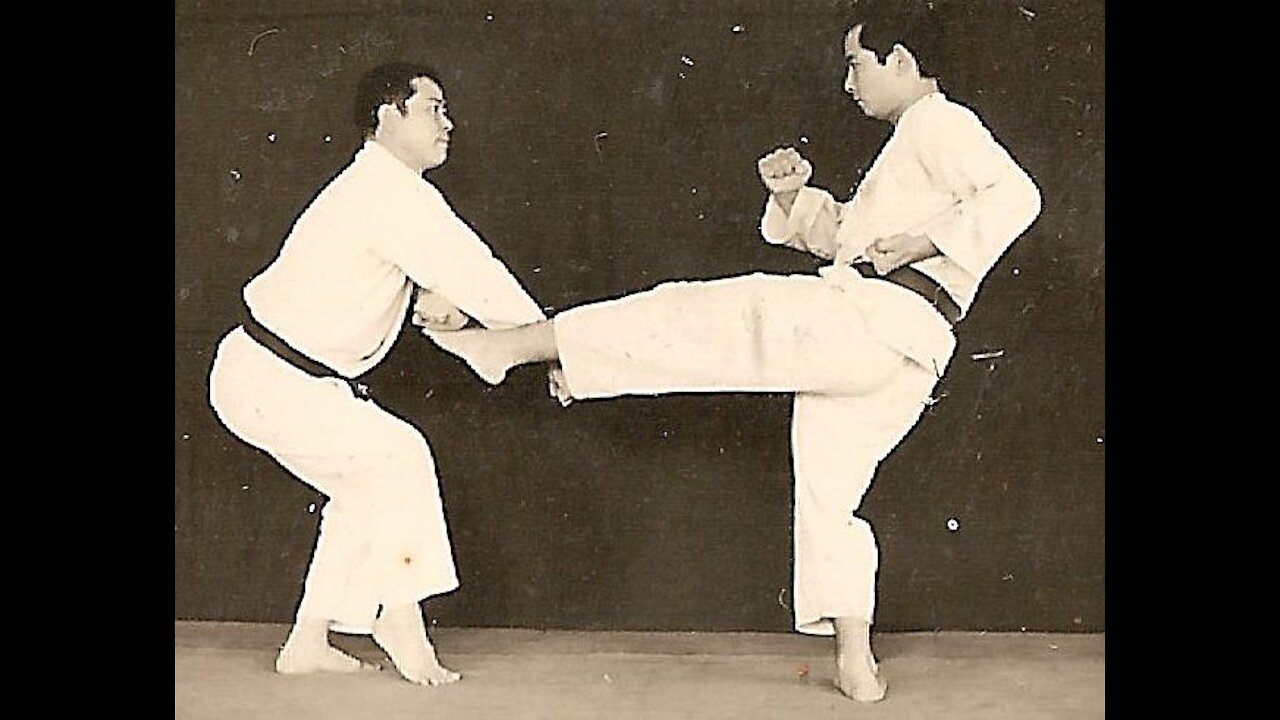 Kata Dippo created by Shihan Akira Taniguchi performed by Sensei Arthur Xavier de Oliveira Filho