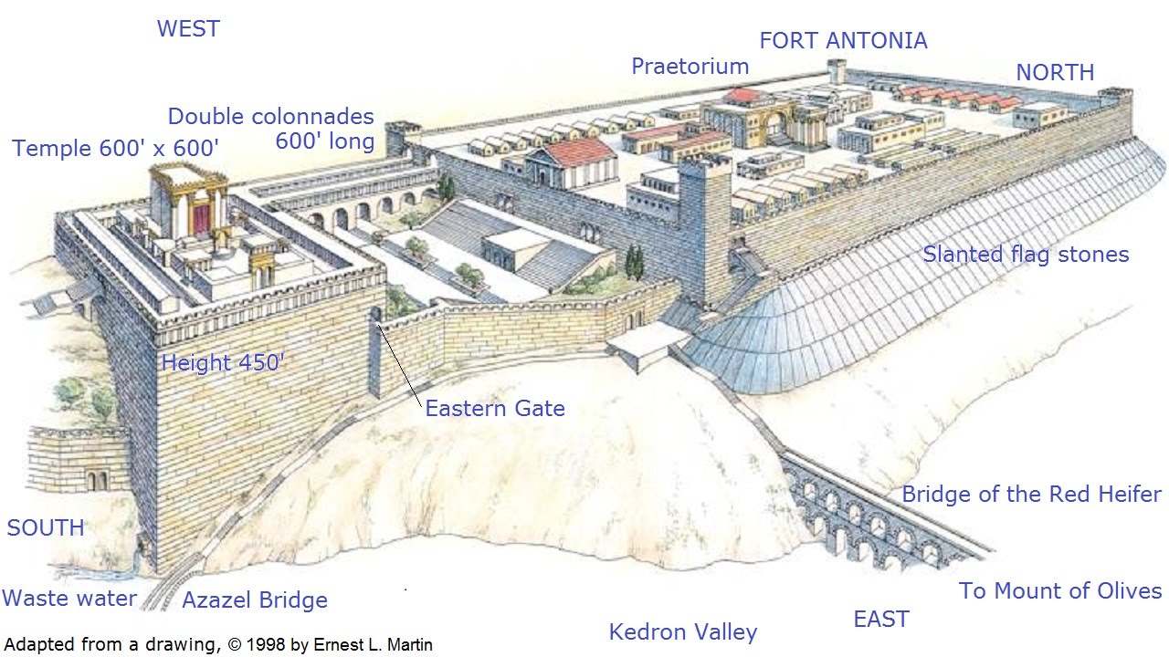 The Last Days Pt 300 - Temple Mount Location