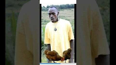 Chicken Man