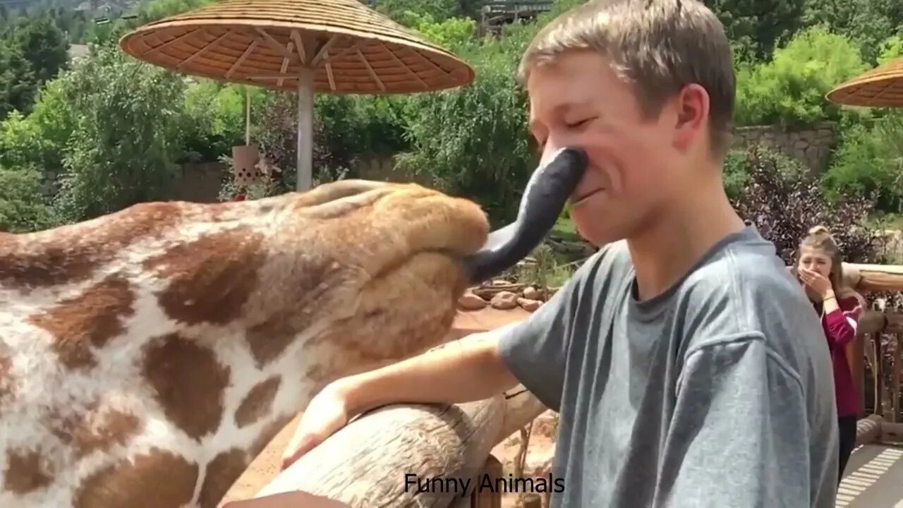 Ethiopian Funny Funniest Animals 🐧 Best Of The 2022 Animal Videos #2 😁 Animals
