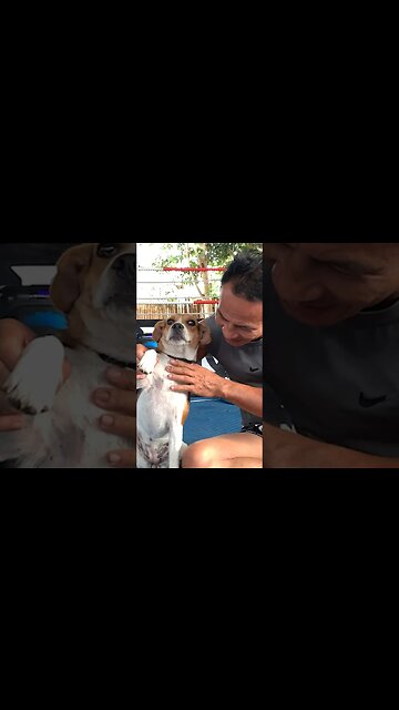 Great day on Koh Phangan #kohphangan