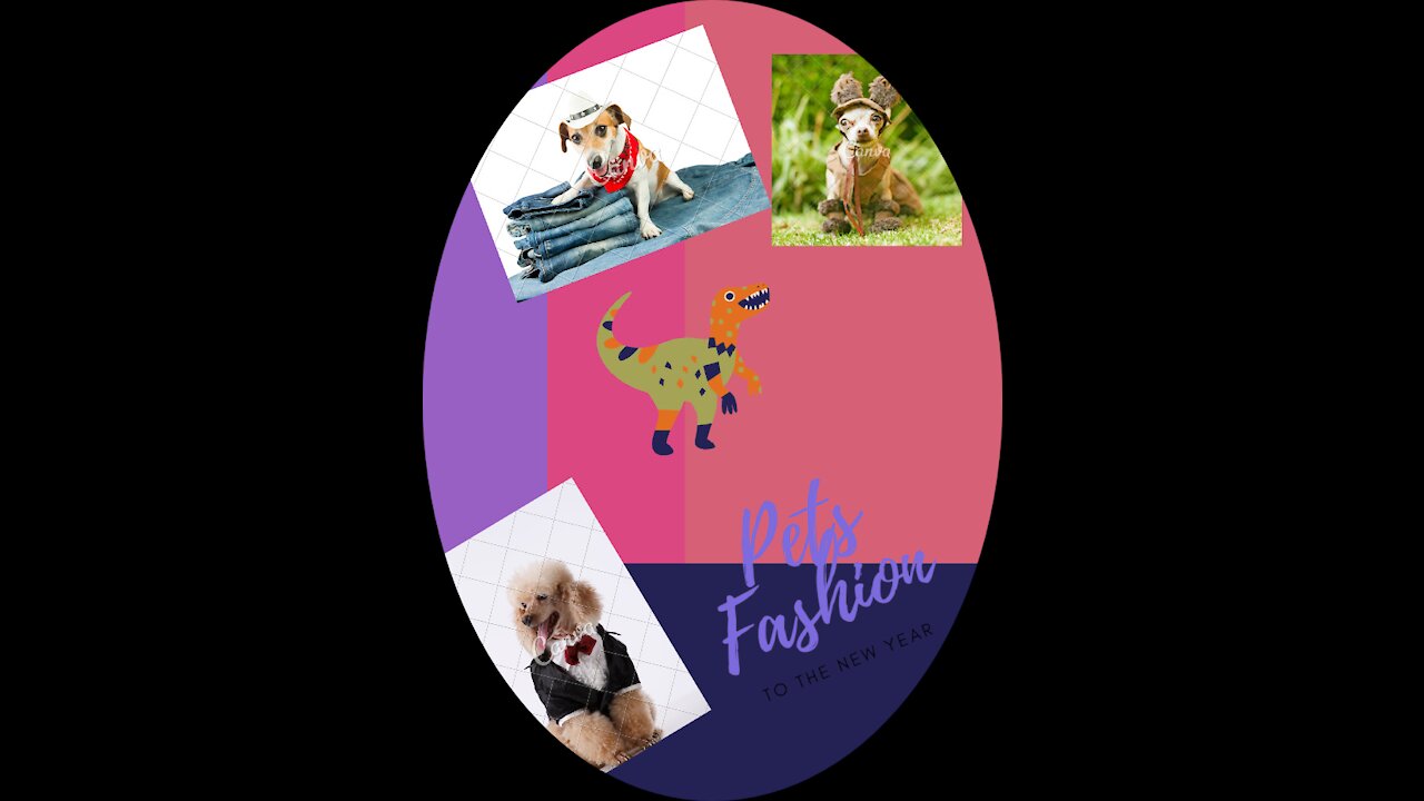 Fashion pets styles