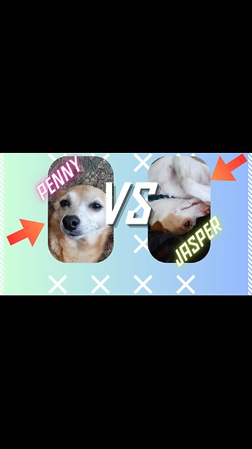 HILARIOUS Penny V. Jasper