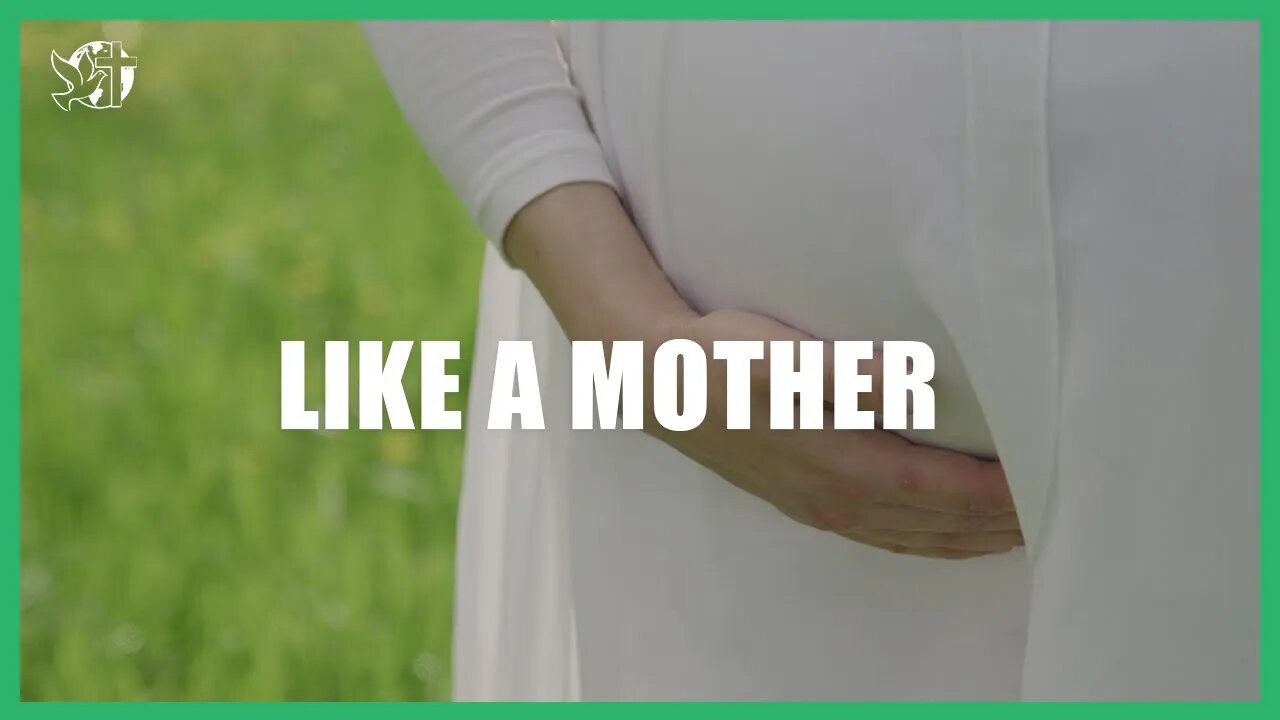 Best place in the world | LIKE A MOTHER | Cléo Ribeiro Rossafa