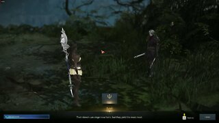 Lost Ark MMORPG Wailing Forest