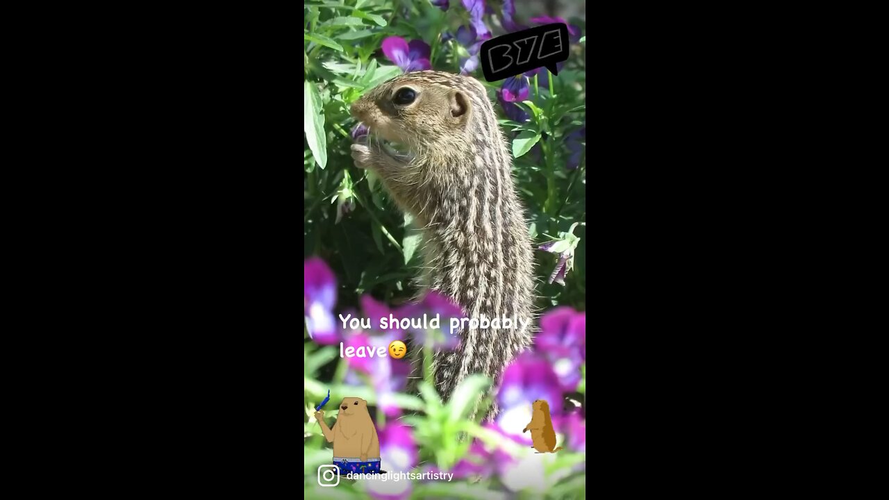 You should probably leave๐๐