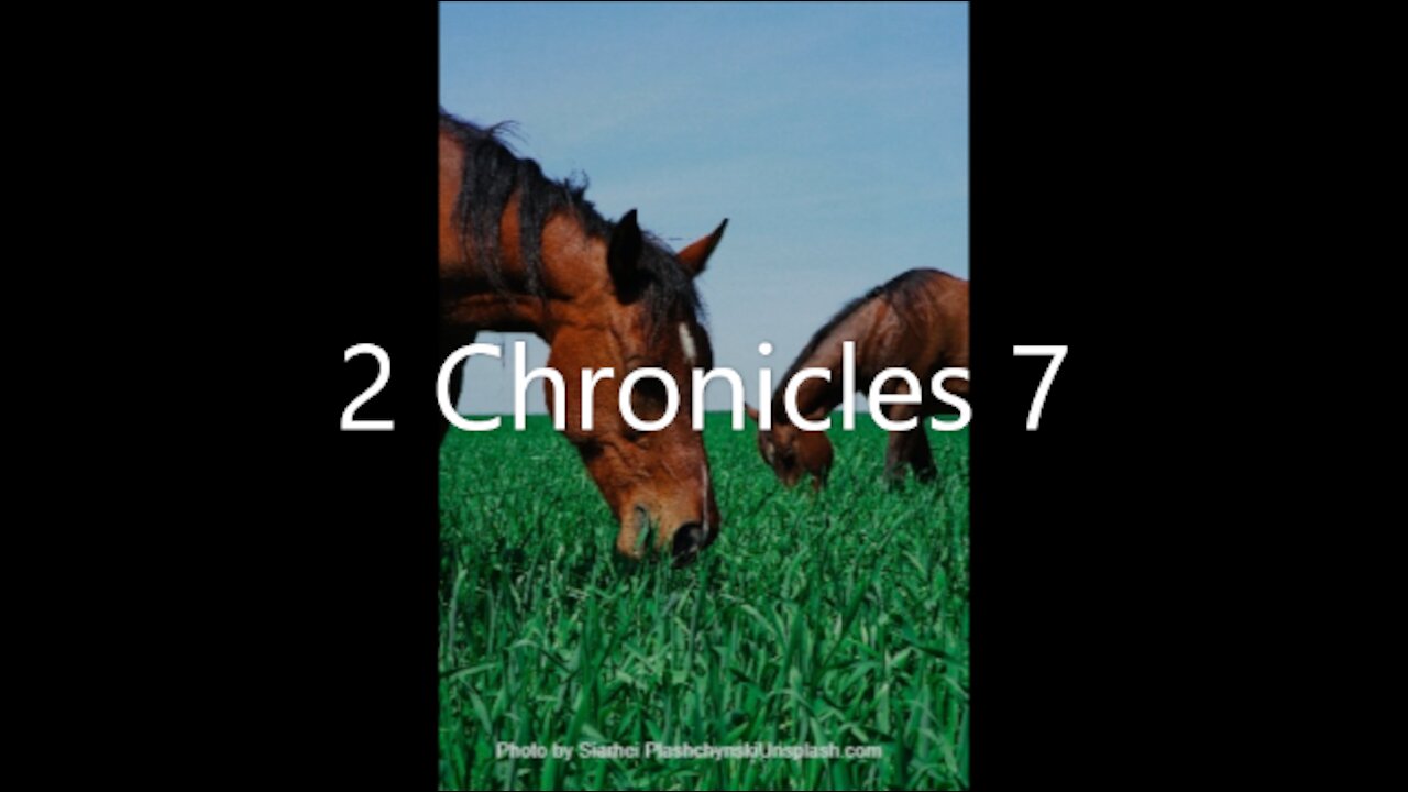 2 Chronicles 7 | KJV | Click Links In Video Details To Proceed to The Next Chapter/Book