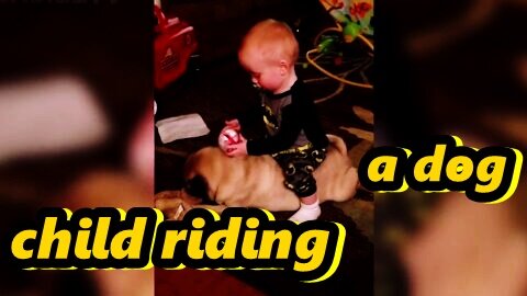 child riding a dog