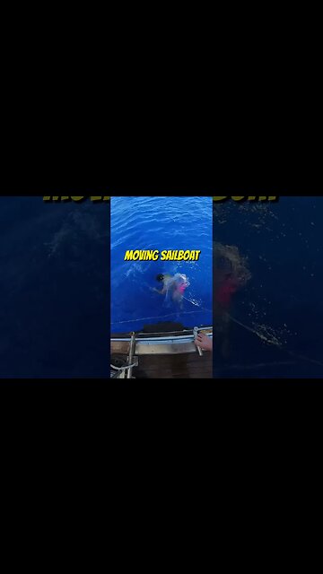 Outswims Sailboat & Defies Flat Earthers 🌎