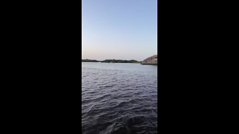 Livestream Clip - Estero Bay Sunrise PT 2