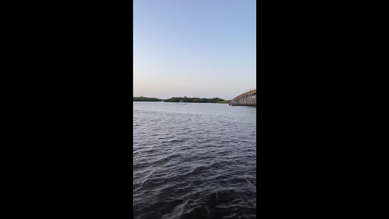 Livestream Clip - Estero Bay Sunrise PT 2