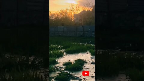 STREET DOGS 🐕 PART-8 // STREET DOGS GANGWAR #streetdogs #gangwar
