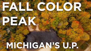 Fall Leaves at Peak In the Michigan Upper Peninsula-Photography Tips and Tricks included