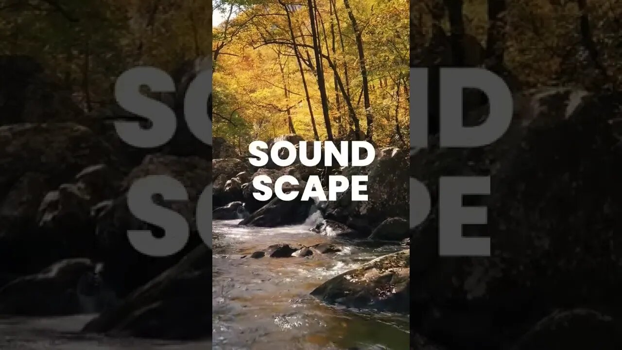 What is a soundscape? Check out here... #shorts #soundscape #relaxingmusic