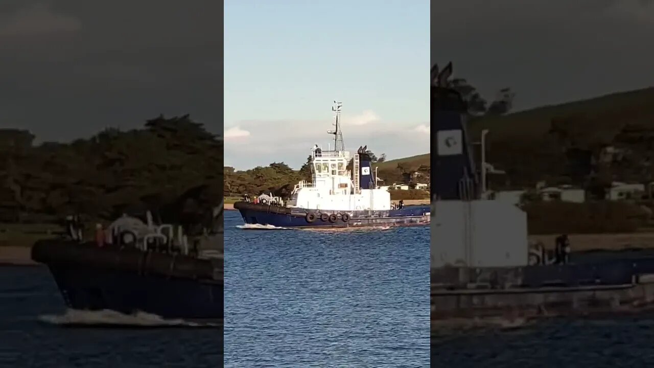 Tug Wilga. Port Of Devonport Tasmania. #trending #shorts #merchantnavy #tuglife #lifeatsea #shipping