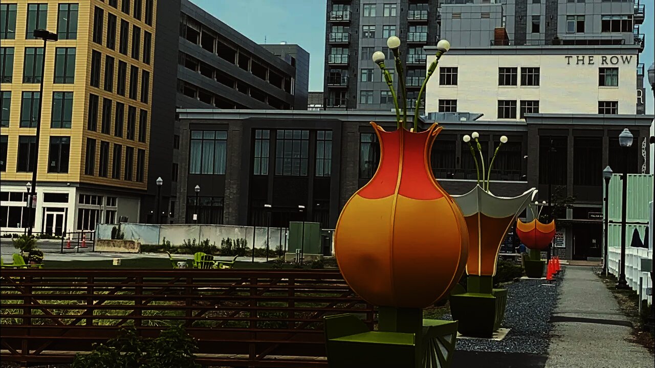 Dead Mall or Not - Assembly Square Shops - TWE 0286