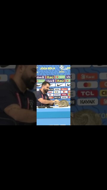 A cat interrupted, and was promptly removed from, a press conference being given by Brazilia #shorts