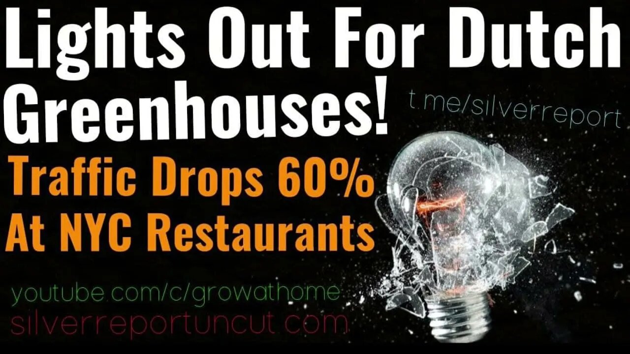 Power Cuts At Dutch Greenhouses, Worlds 2nd Largest AG Exporter, Traffic Plummets NYC Restaurants