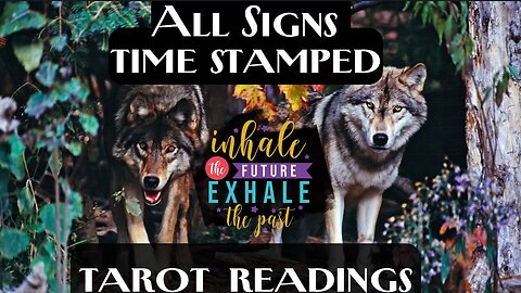 All Signs🐺 Time Stamped (Below👇)💥PAST, PRESENT & FUTURE Readings💥Posted on Friday 11-15-2024