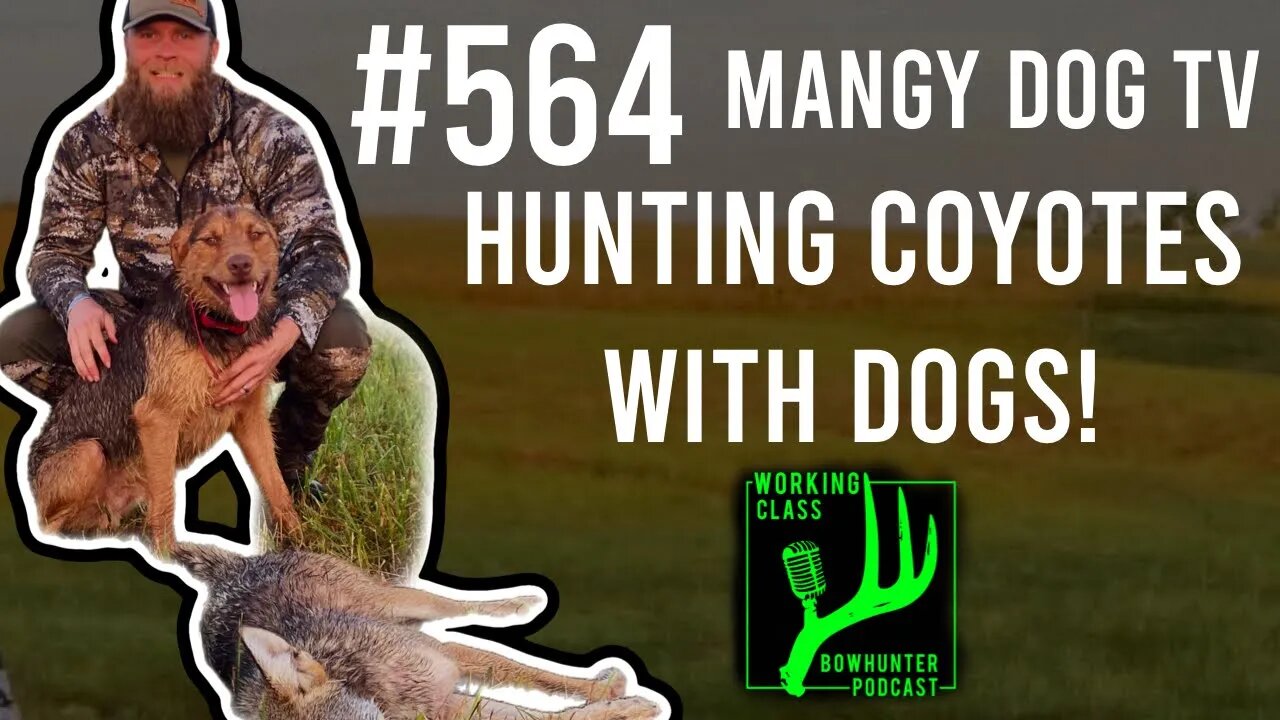 Mangy Dog TV #564 #workingclassbowhunter