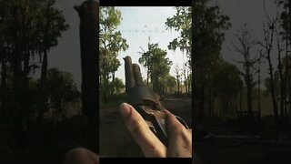 Please don’t try this at home
