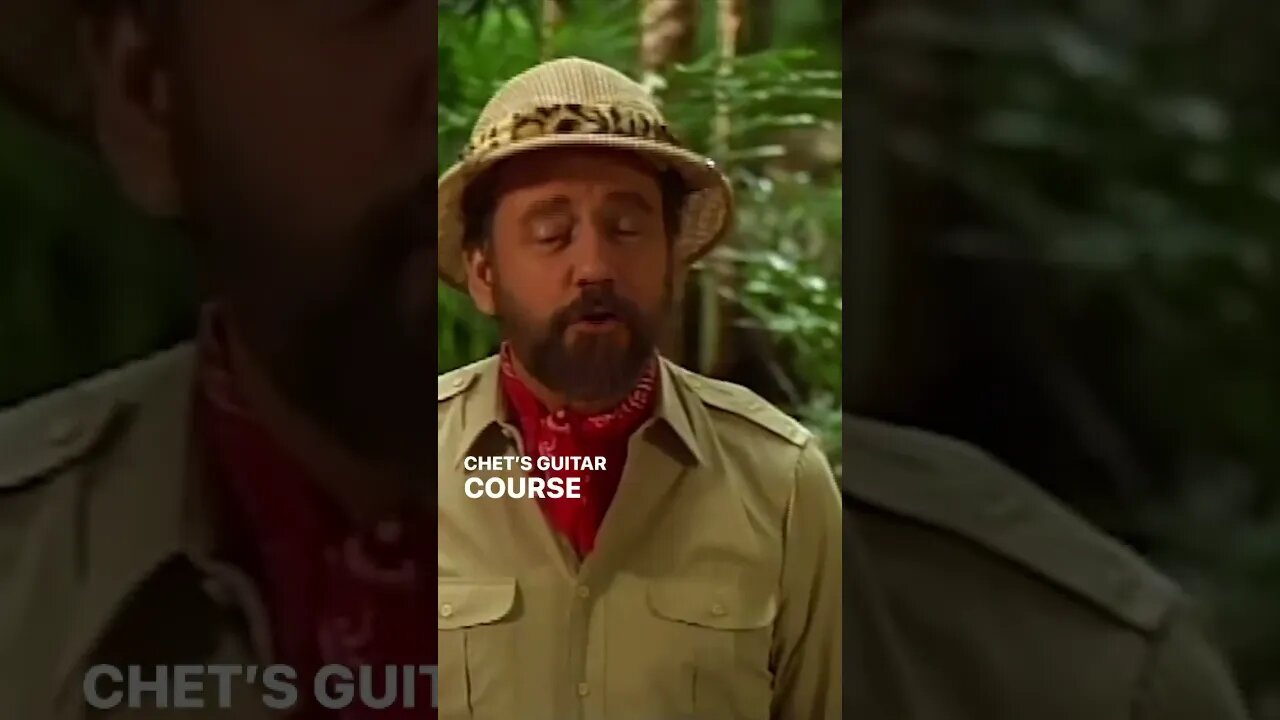 “Gitarzan” Ray Stevens 🎸🦍
