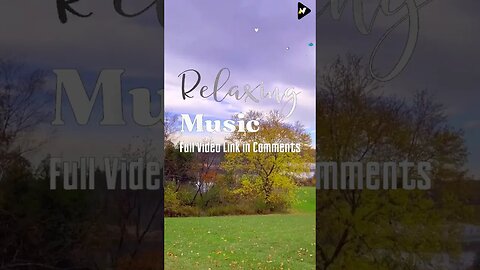 Relaxation Short Videos Enjoy the Beauty of Nature 92 #shorts