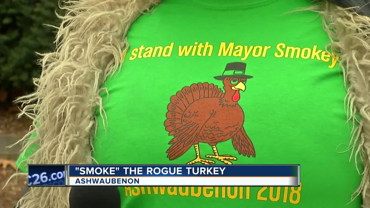 "Smoke" the turkey, dubbed "mayor" of Ashwaubenon