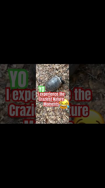 Yo I experience the craziest nature moments 😂 I CAN’T MAKE THIS UP🐢 #Get2Steppin w S2
