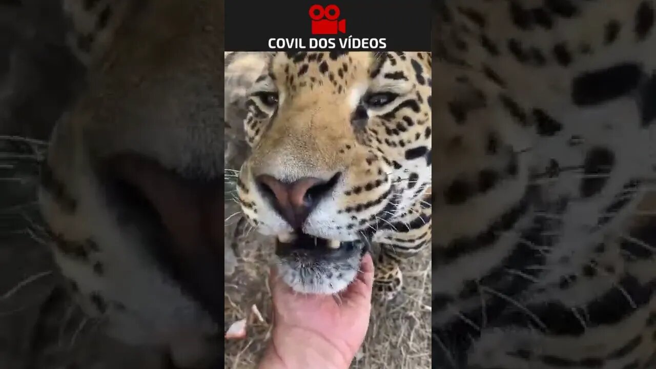 mistura de amor e coragem