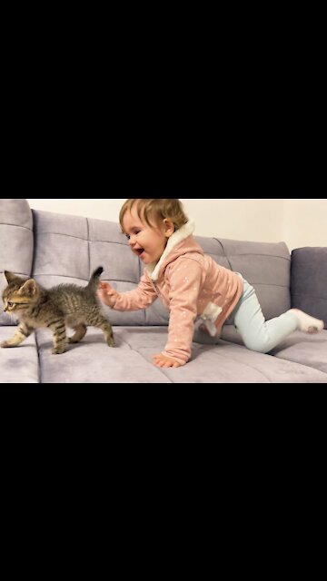 Cute Baby Meets New Baby Kitten for the First Time!