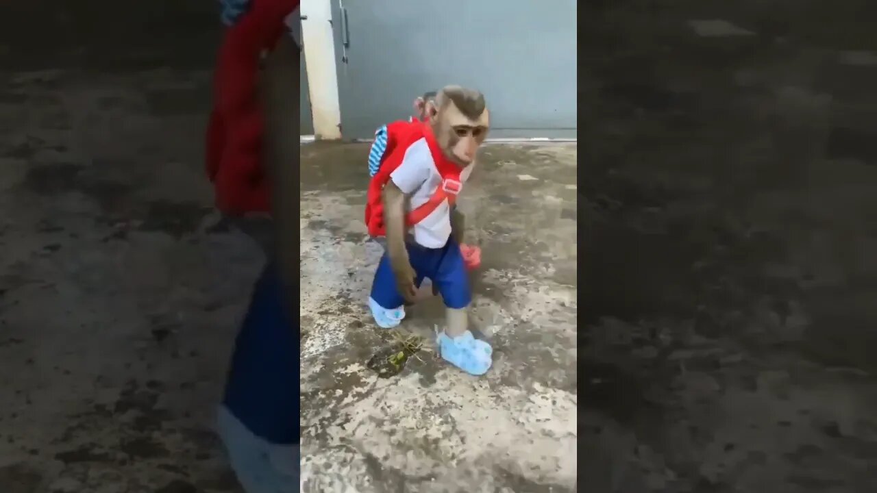 School Time 🤩 #funnyvideo