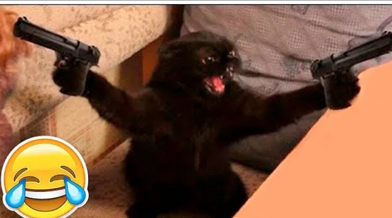 New Funny Animals 😂 Funniest Cats and Dogs Videos 😺🐶