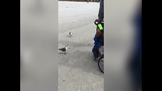 Kids have Cute Reaction to Seagulls