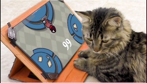 AMONG US 99 KILLS, not appropriate for THIS CAT