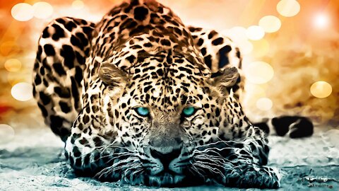 #JAGUAR- El animal #SAGRADO de los #MAYAS