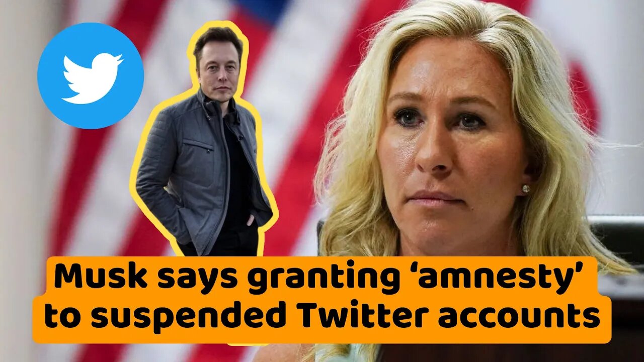 Musk says granting ‘amnesty’ to suspended Twitter accounts