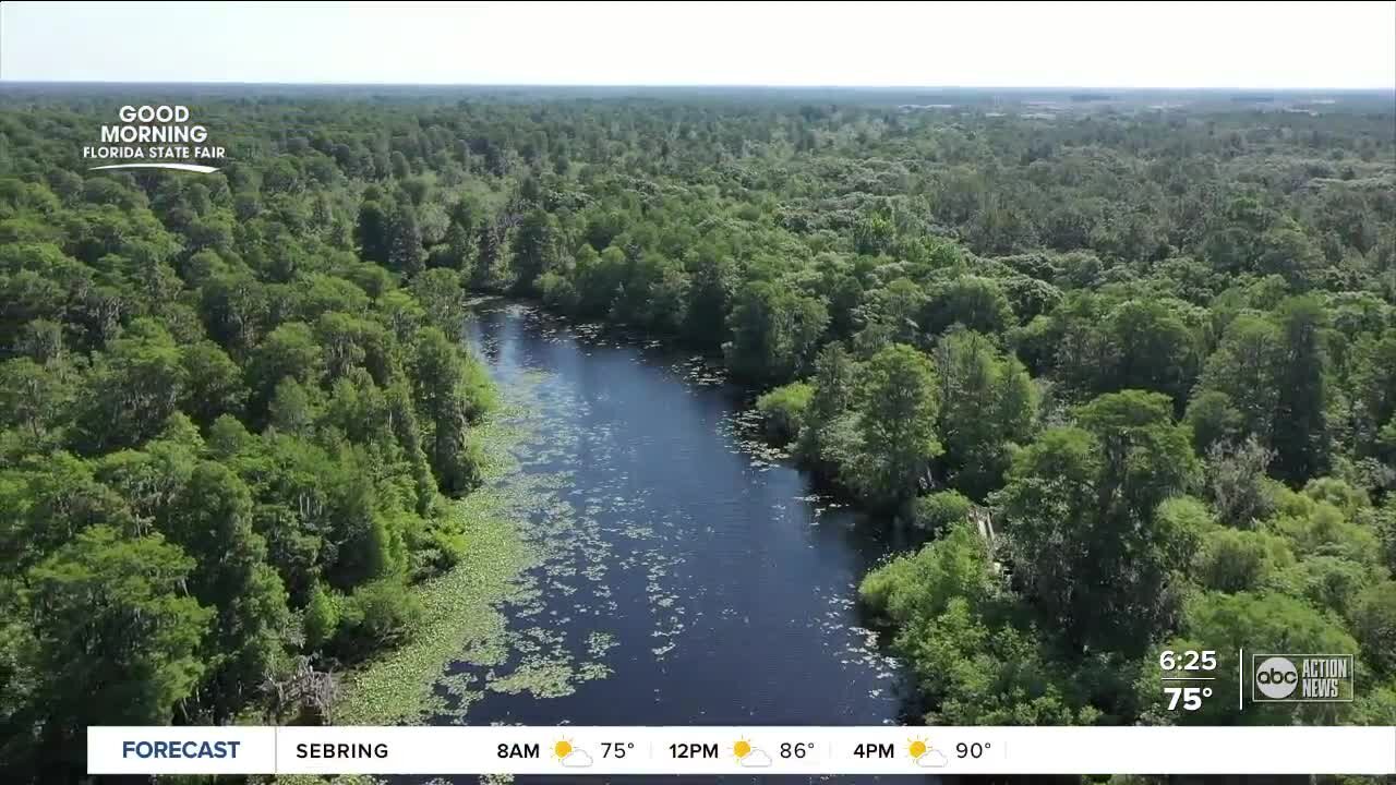 Walking Club: Exploring Lettuce Lake Park